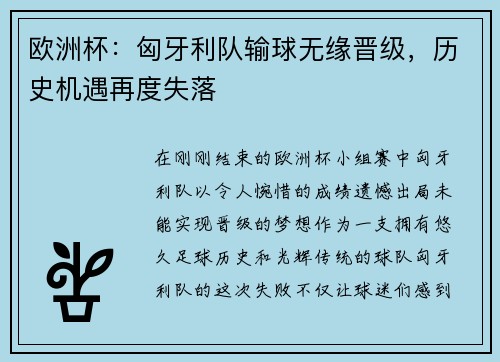 欧洲杯：匈牙利队输球无缘晋级，历史机遇再度失落