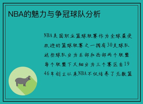 NBA的魅力与争冠球队分析