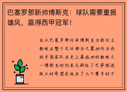 巴塞罗那新帅博斯克：球队需要重振雄风，赢得西甲冠军！