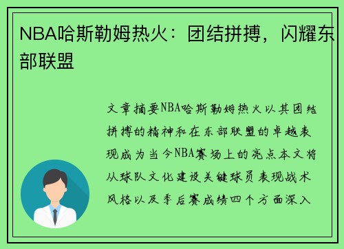 NBA哈斯勒姆热火：团结拼搏，闪耀东部联盟